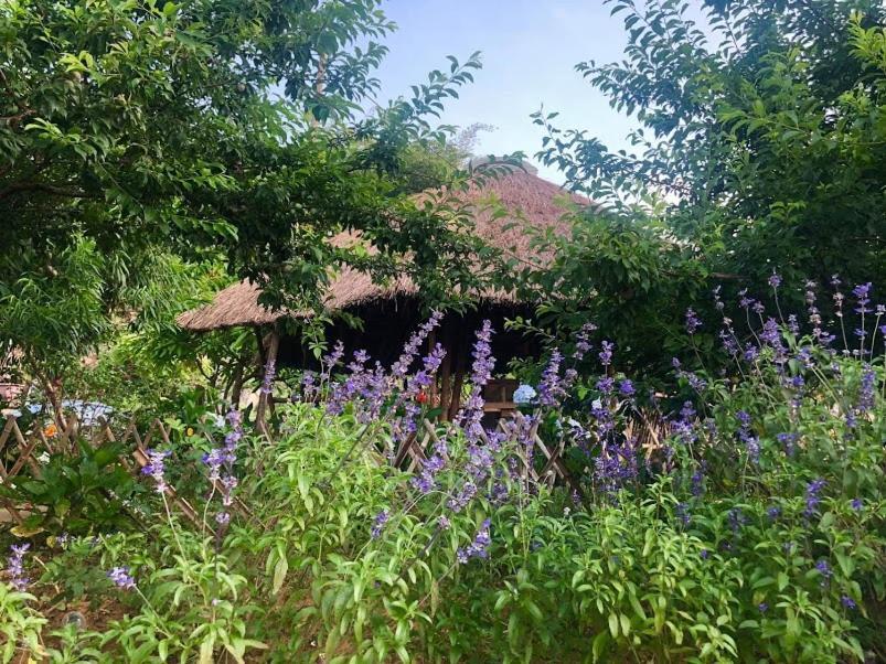 Savana Moc Chau Bed & Breakfast Dış mekan fotoğraf
