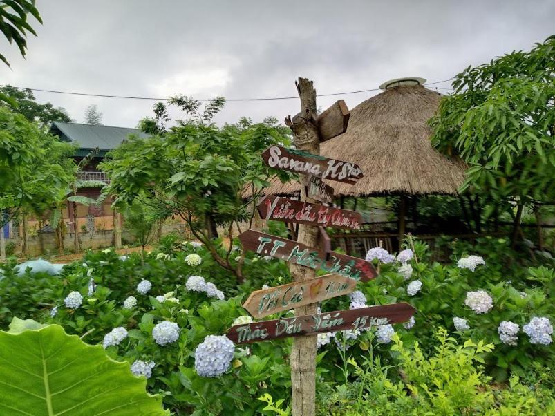 Savana Moc Chau Bed & Breakfast Dış mekan fotoğraf