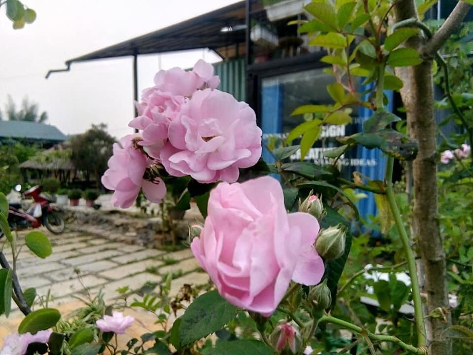 Savana Moc Chau Bed & Breakfast Dış mekan fotoğraf
