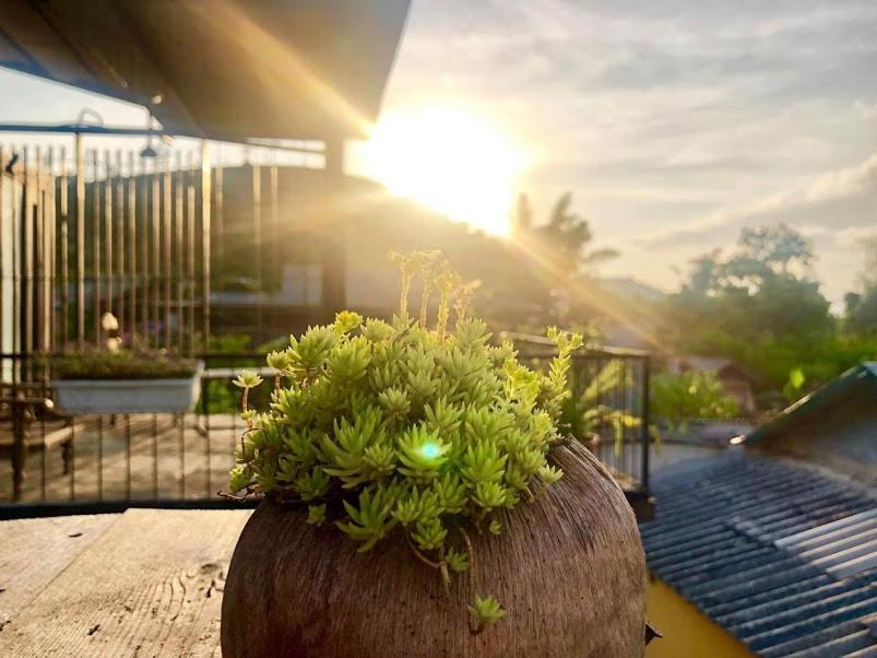 Savana Moc Chau Bed & Breakfast Dış mekan fotoğraf